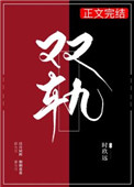 双轨