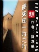 迷失在一六二九[精校版]