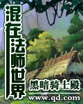 混在法师世界[精校版]