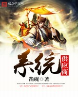 系统供应商[精校版]