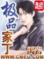 极品家丁[精校版]