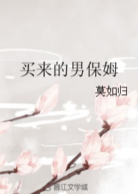 买来的男保姆