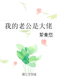 我的老公是大佬
